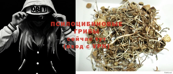 гидра Абдулино